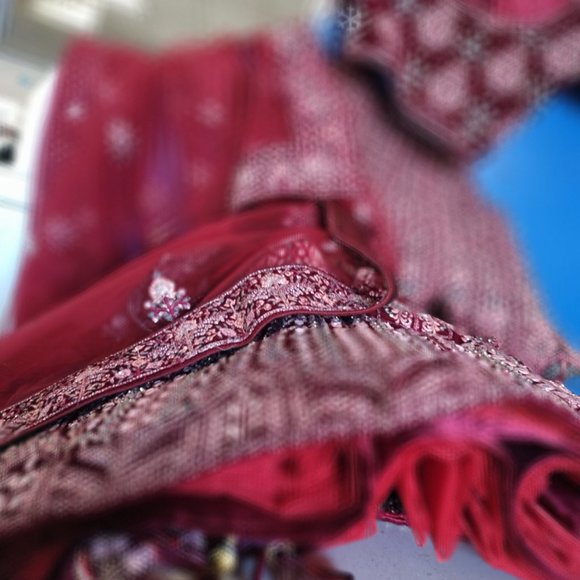 Lehenga - Picture 3 of 5